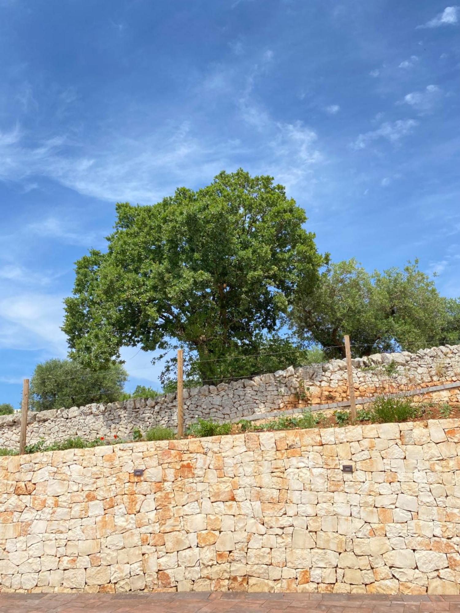 Trulli Mbs By Apulia Hospitality Apartamento Locorotondo Exterior foto